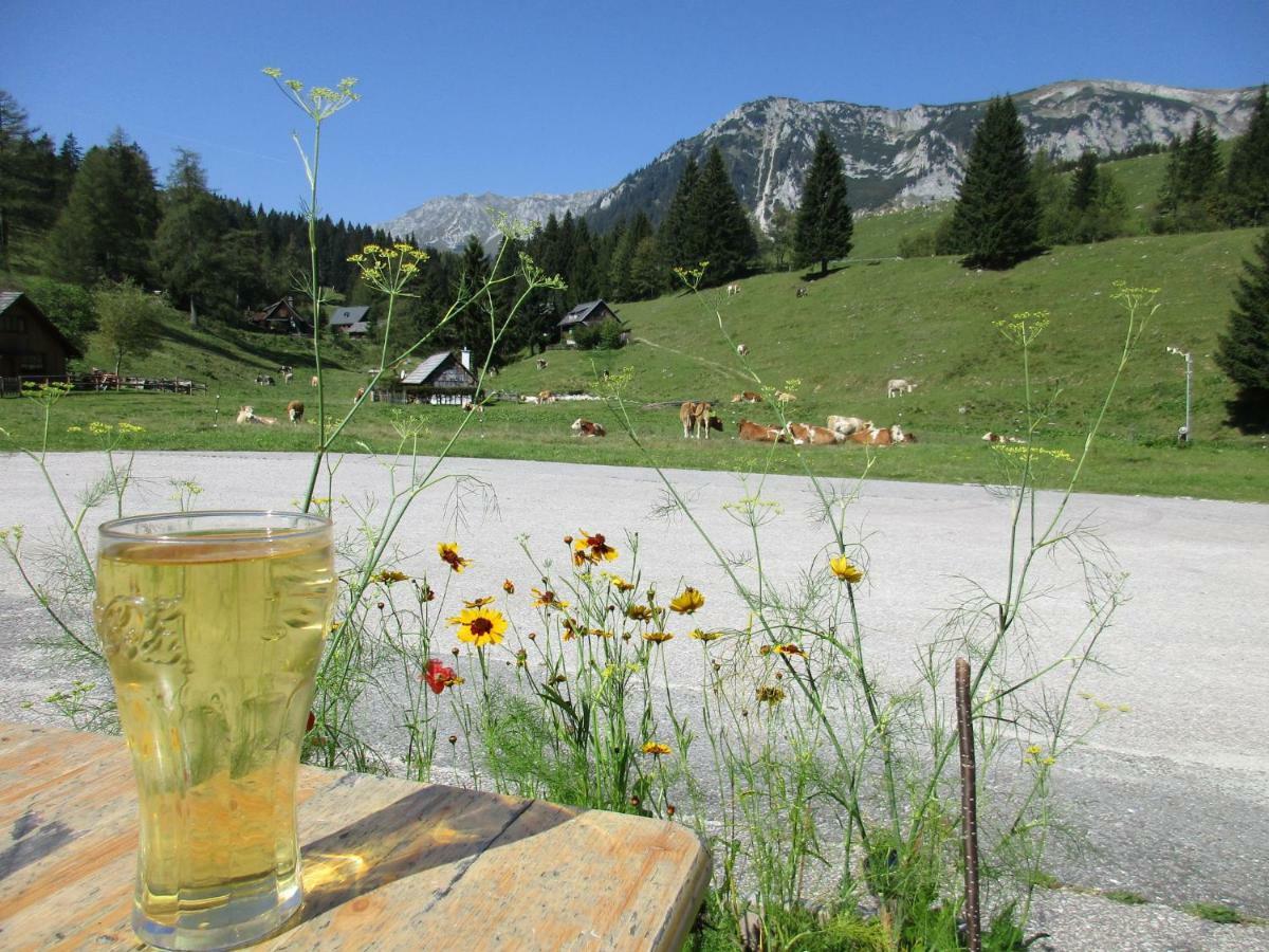 Almgasthaus Seebergalm Turnau Exteriér fotografie